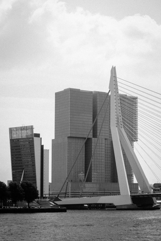 Erasmus bridge Rotterdam